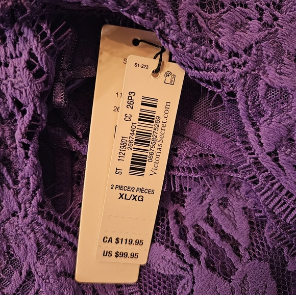 VICTORIA'S SECRETSheer Lace Slip - Picture 4 of 5